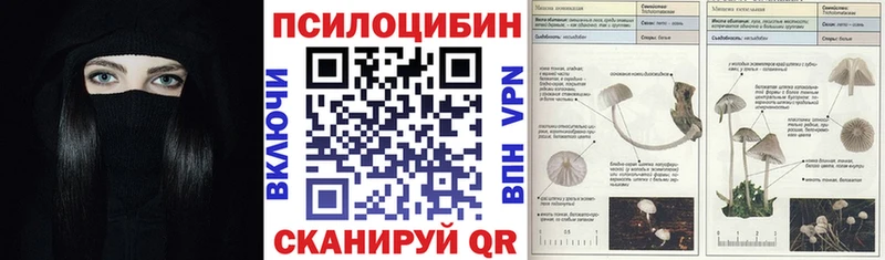 Купить закладки  Ижевск  Псилоцибиновые грибы Psilocybe 